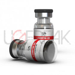 L-Carnitine 500 Dragon Pharma INTL